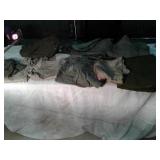 MILITARY BLANKET:BAG:CLOTHES