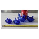 Cobalt Blue Hen on Nest. X4