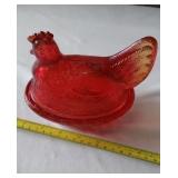 Red Amber Hen on Nest