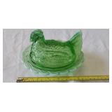 Hen on Nest.  Green Opal