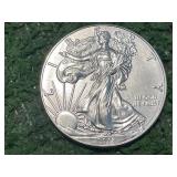 2018 Silver Eagle