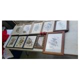 Framed Bird Wall Art