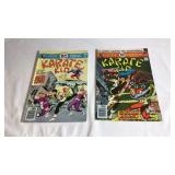 Dc Comics Karate Kid Issue #2 & 3