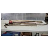 Walking Sticks & Cane