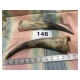 12.5in. Steer Horn Caps