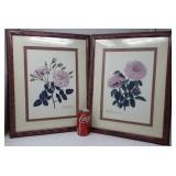 2 Matching Framed Prints
