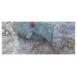 Have a heart live trap.