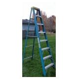 Warner 8Ft Ladder