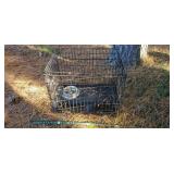 Wire Pet Crate