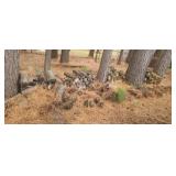 Stack of firewood & split rail fence.