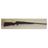 Savage Arms, Savage Sporter .22lr, Bolt Action