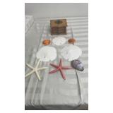 Seashells, Sand dollars, Coasters