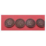 1902, 1904,1906, 1907 Indian Head Pennies