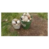 Two buckets of base balls & Soft balls