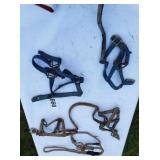 HORSE HALTERS