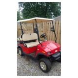 NICE 2010 FAIRPLAY EVE 4 SEATER ELECTRICAL GOLF