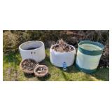 Planters and hanging baskets