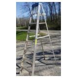 8ft. Werner Aluminum Ladder