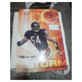 BRIAN URLACHER POSTER