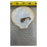 Seahorse Skeleton with Shell