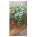 Planter with live  plant