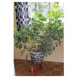 Planter with live plant