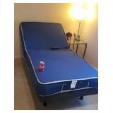 Electric fully adjustable bed ( Like new $1200