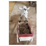 Concrete donkey w cart