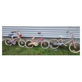 3 kids bikes.