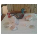 SHELLS:DUCK DECORATION