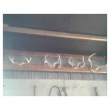 DEER ANTLERS