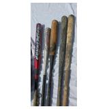 Baseball softball bats with case