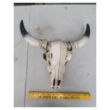 Manufracturing Steer Horns