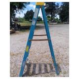 Ladder Werner 6 foot Blue