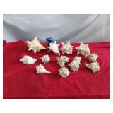 Sea Shells