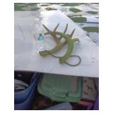 Primos RATTLING ANTLERS Fightin