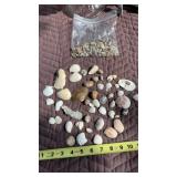 Indian Beads and Shells