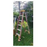 Werner 6 Ft Ladder
