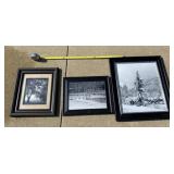Framed pictures of geese and more