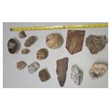 Natural chocolate dog tooth Calcite Cluster  fish