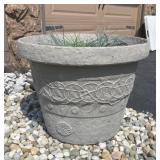 Flower Pot