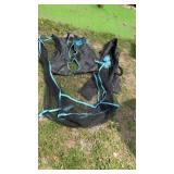 Long Drink Toss Game Set with Footballs Net,