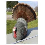 Turkey Decoy