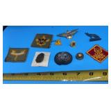 Boy Scouts of America (BSA) and Cub Scout