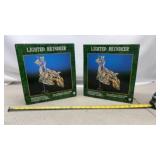 Lighted Reindeer