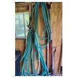 Two Garden Hoses with Sprayer
