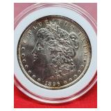 1896 Morgan Silver Dollar