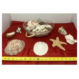 Decorative Glass Bowl with Handle and Seashells