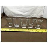 Clear Shot Glasses