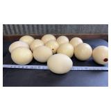 Ostrich Eggshells for crafts/Home Decor